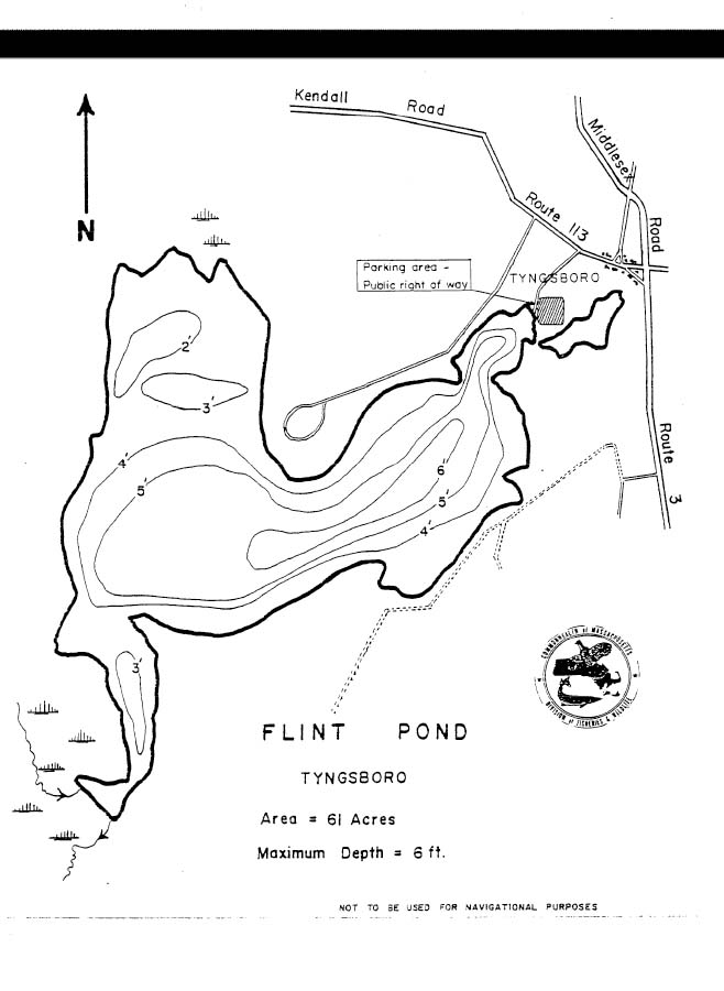 Flint Lake Fishing Map