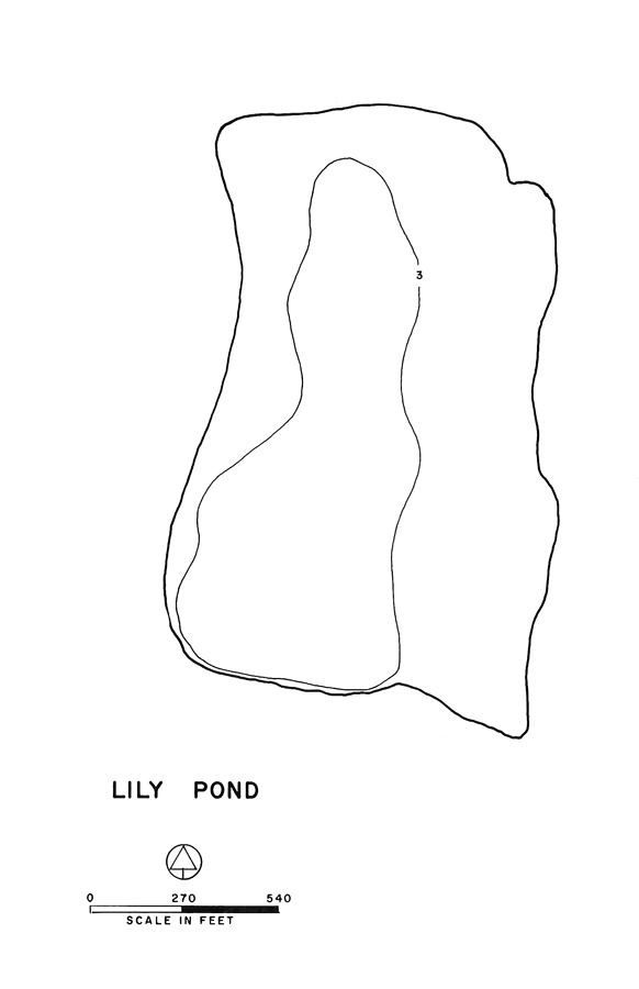 Lily Pond Lake Map