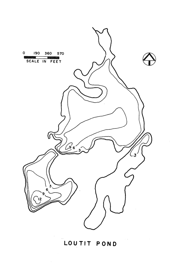 Loutit Pond Lake Map