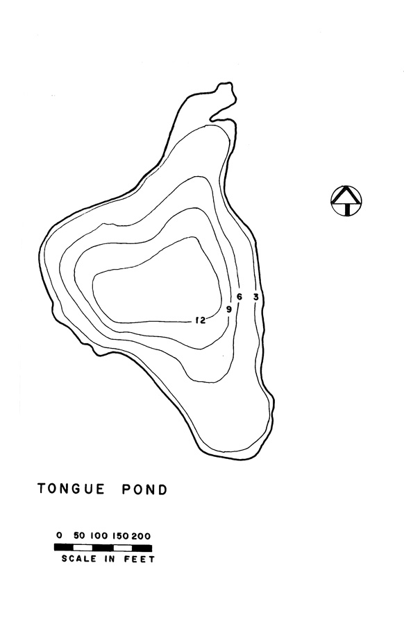 Tongue Pond Lake Map