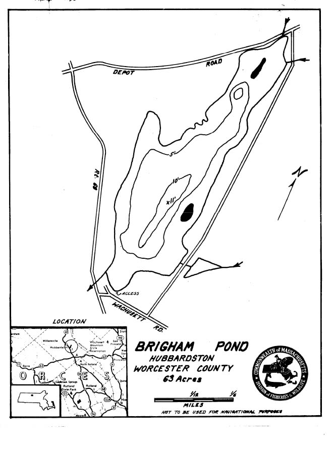 Brigham Pond Map